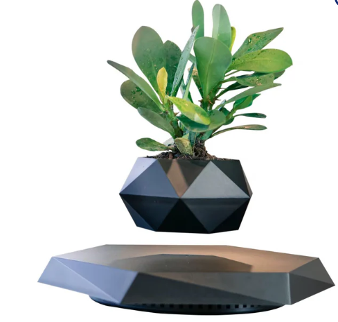 Levitating - Bonsai Planter Pot